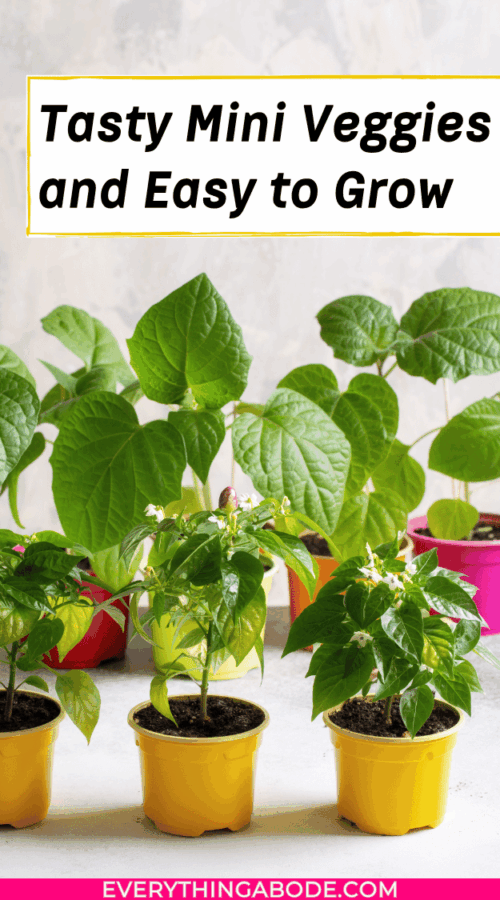 Small Veggies 14 Cute Miniature Dwarf Vegetables & Fruit Plants For Tiny Gardens ...