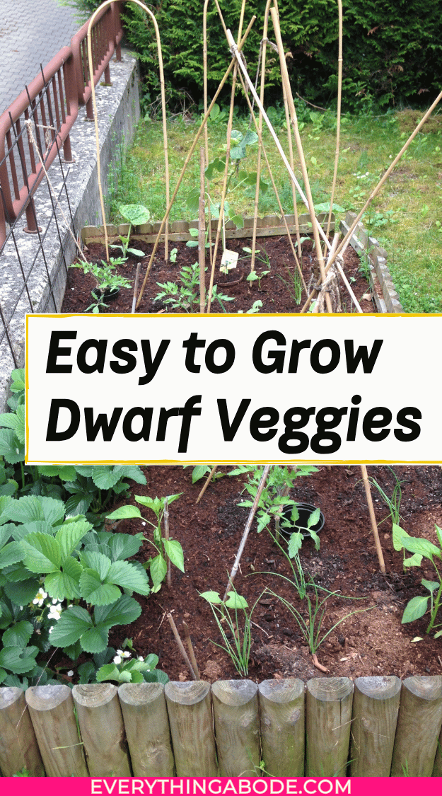miniature vegetable plants