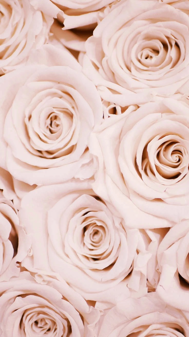 Rose Gold Iphone Cute Wallpapers  PixelsTalkNet