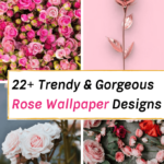 rose wallpaper iphone ideas