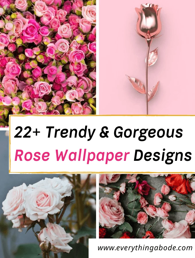 50 Aesthetic Rose iPhone Wallpapers Free Downloads