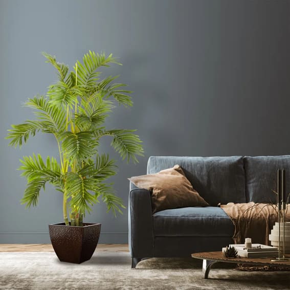 plants for tiki bar