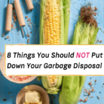 foods to never put down your garbage disposal