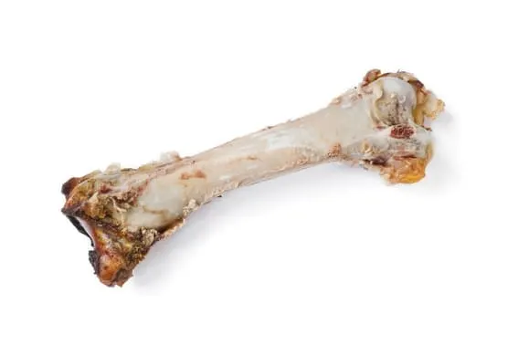 cooked meat bone to never put down a garburator