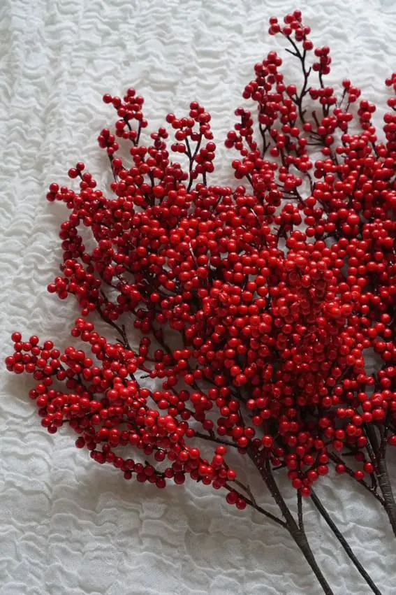 A vibrant cluster of red holiday berries.