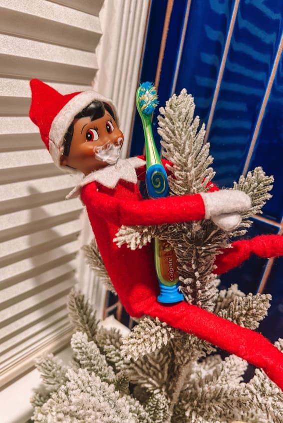 Elf on the Shelf caught mid-brush amidst frosty pines.
