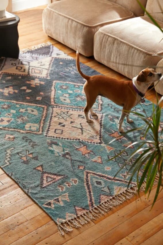 a rug in a living room with a cute dog standing on it!