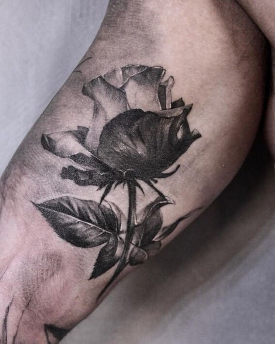 rose tattoo