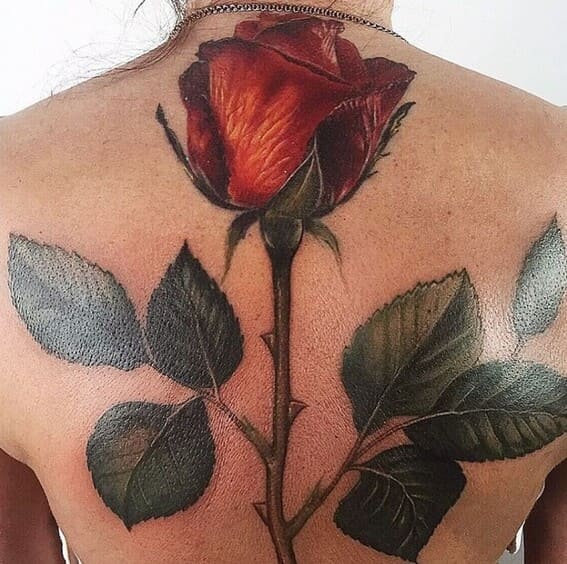 roses in tattoos