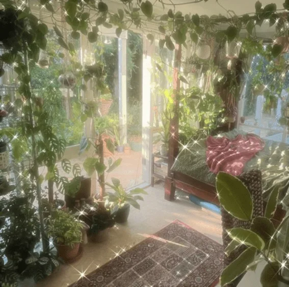 A sunlit cottagecore aesthetic room with lush indoor plants.