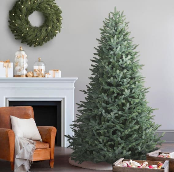 A 6-foot Balsam Hill unlit European Silver Fir artificial Christmas tree, displayed with a backdrop of gifts wrapped in gold and white.