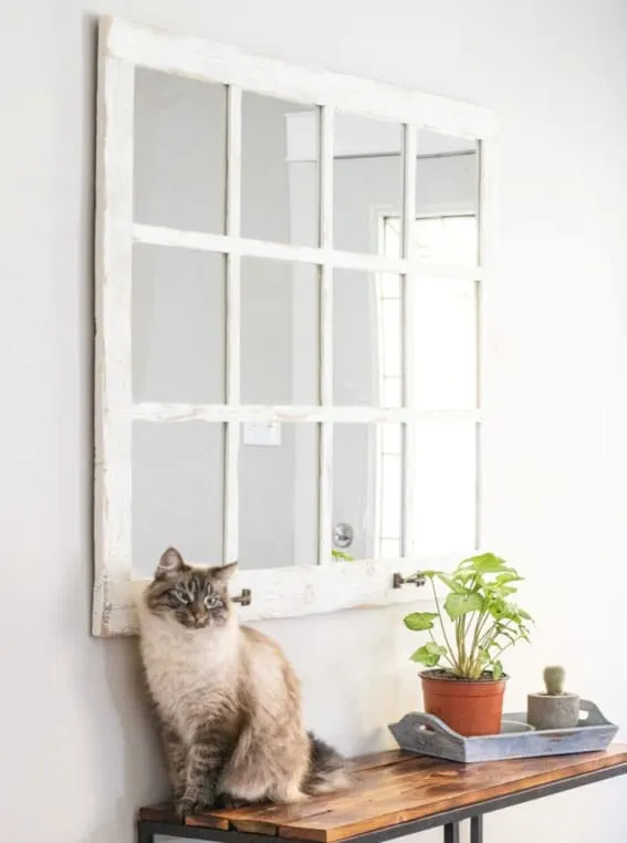 ABWframes, a cute mirror in living room next to a cat