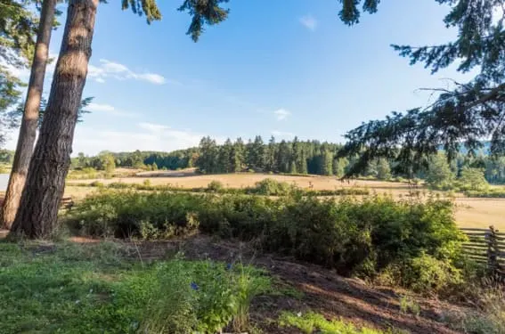 Farm Landscape View