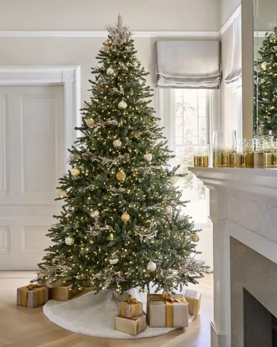 A 6-foot Balsam Hill unlit Classic Blue Spruce artificial Christmas tree, gracefully adorned with gold and white ornaments and a soft tree skirt.