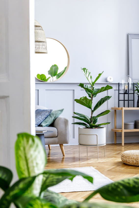 a living room filled with living green plants