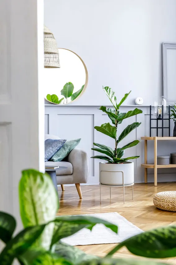 a living room filled with living green plants