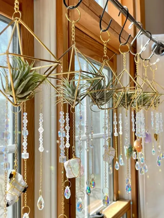 A stunning display of air plants suspended among sparkling suncatchers.