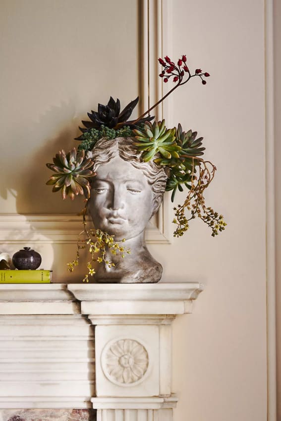 A sculptural pot blending ancient grace with living art.