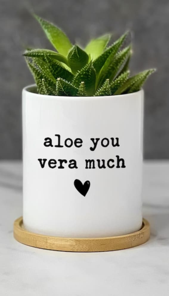 A playful aloe plant in a white planter with a punny love note.