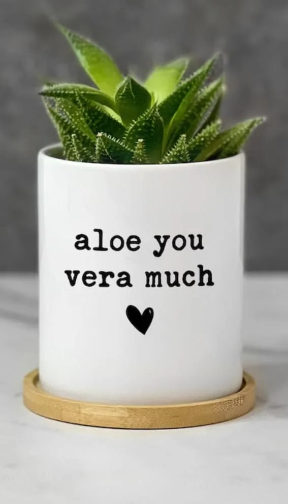 A playful aloe plant in a white planter with a punny love note.