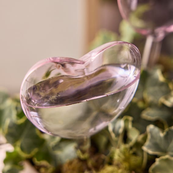 A charming set of two heart-shaped watering globes to tenderly care for plants.