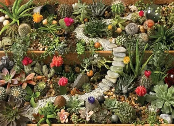 A vibrant assortment of cacti and succulents, perfect for puzzle enthusiasts.
