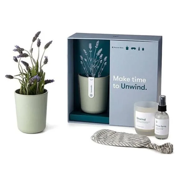 A soothing lavender plant alongside a self-care kit, perfect for unwinding.