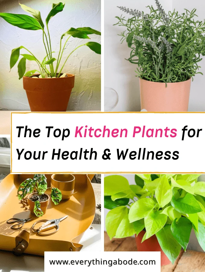 kitchen plants