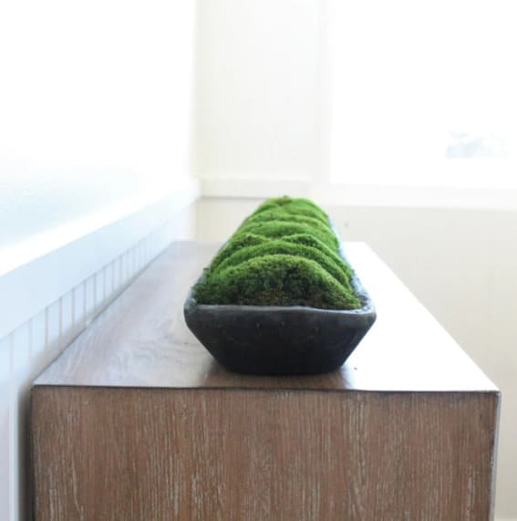 Dough bowl on a wooden cabinet filled with vibrant green moss