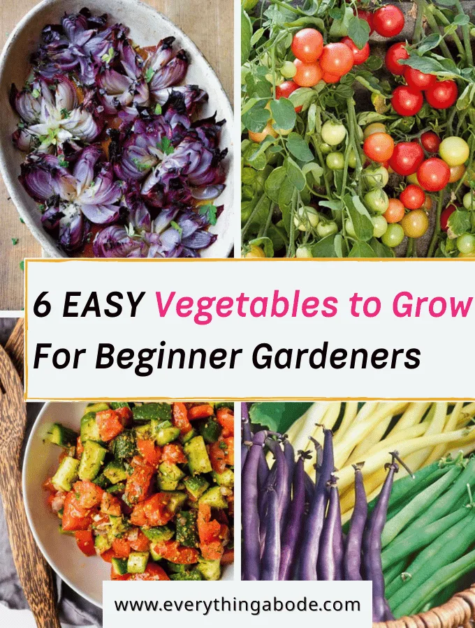 EASY Garden Vegetables to Grow