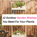 Outdoor Garden Shelves for Plants