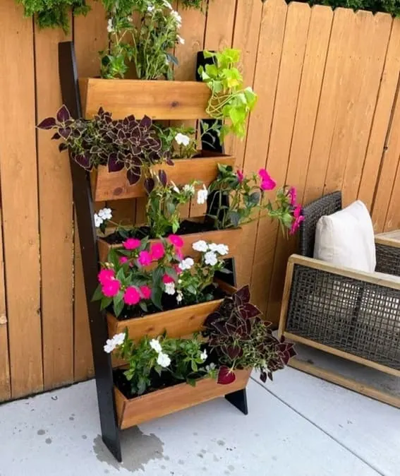 Cedar wood 5-tiered plant shelf with blooming purple and white flowers in a sunny garden.