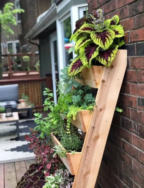 Cedar wood 5-tiered plant shelf with blooming purple and white flowers in a sunny garden.