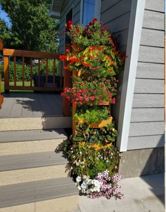 Cedar wood 5-tiered plant shelf with blooming purple and white flowers in a sunny garden.