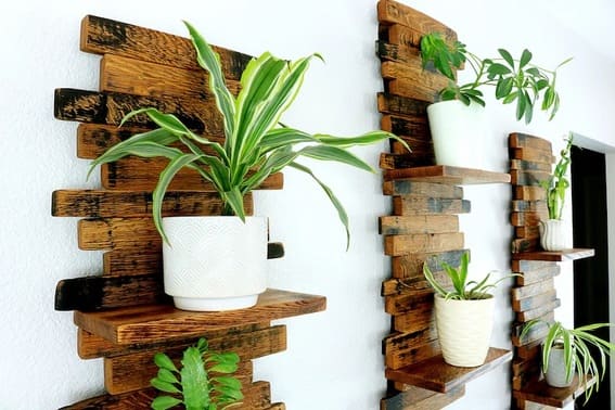 Staggered dark wood wall shelves with various outdoor plants against a white wall.