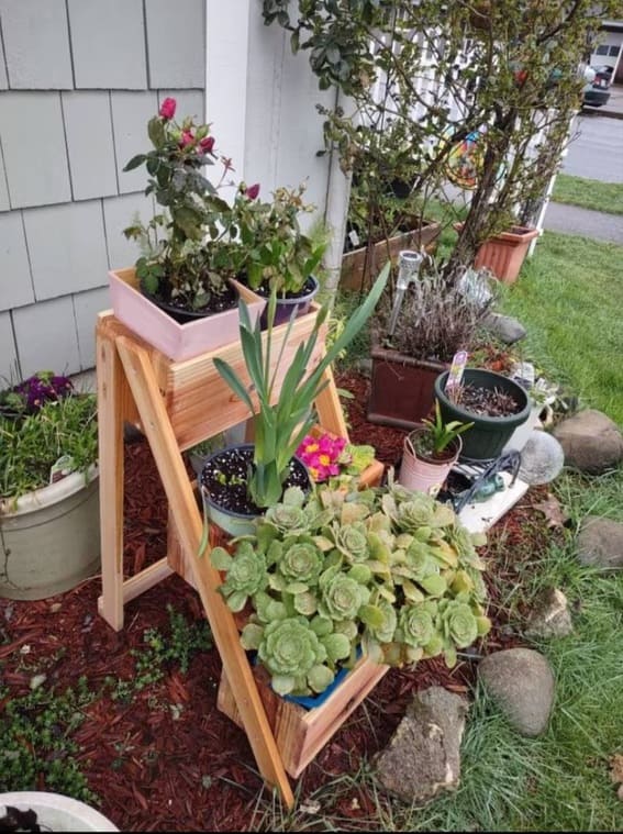 Three-tiered wooden herb garden shelf with fresh basil, mint, and rosemary plants.