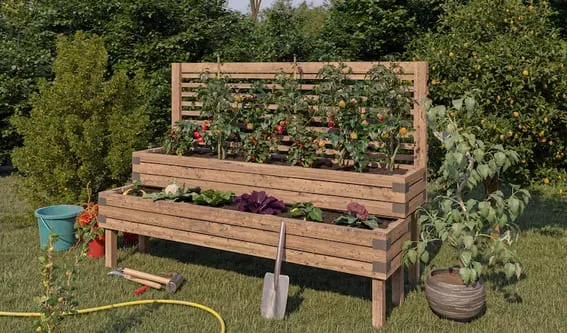 Wooden garden raised bed with a trellis that is full of tomato ripeness and greens that are leafy.