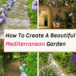 Mediterranean Garden Ideas