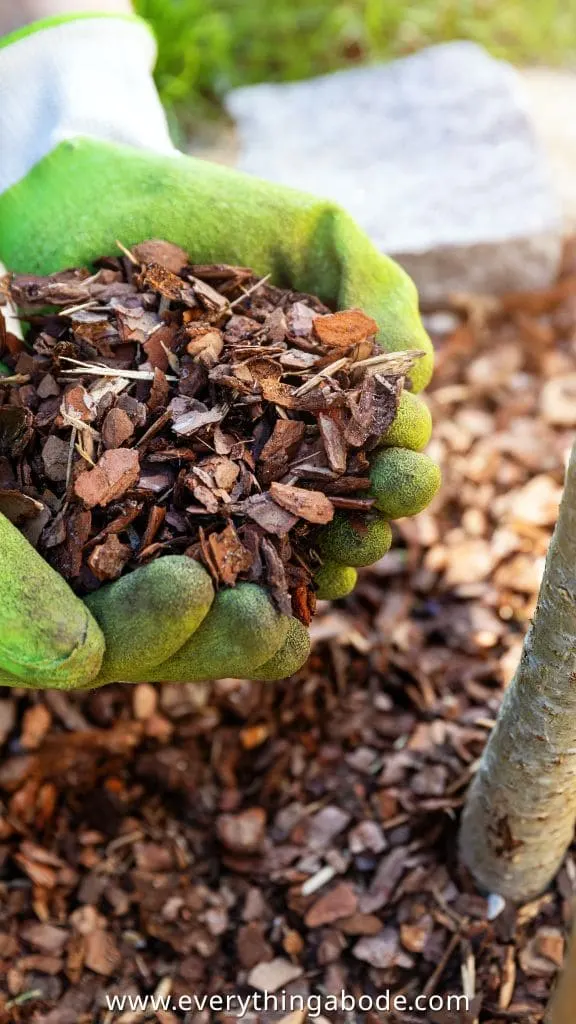 Mediterranean Garden Ideas mulch 