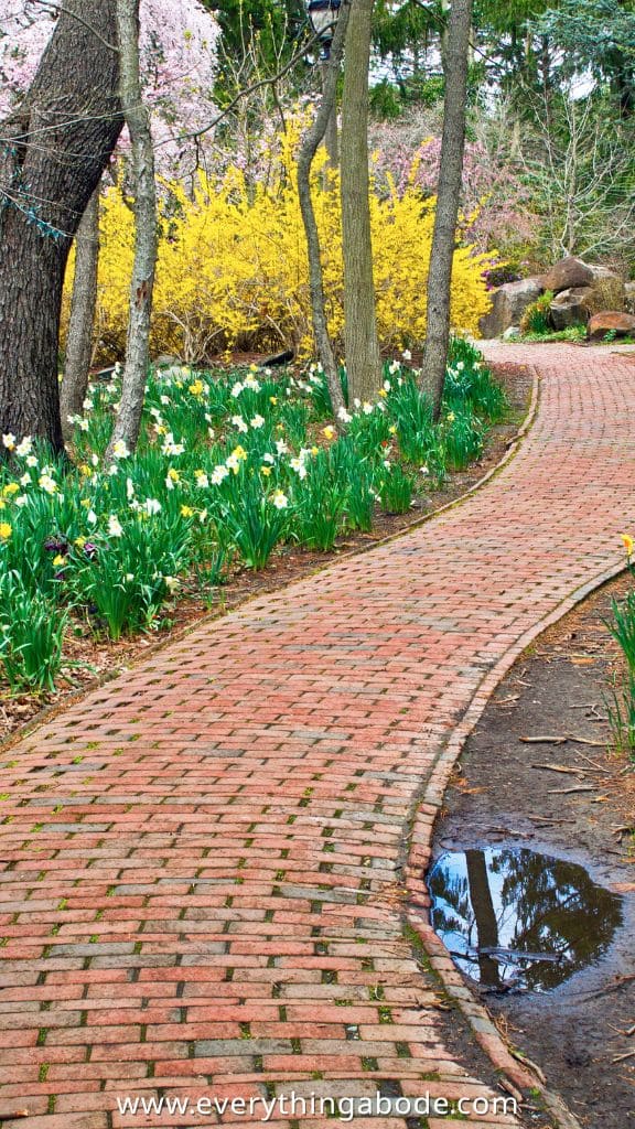 Mediterranean Garden idea