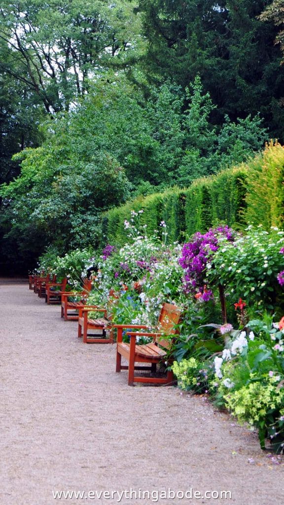 Mediterranean Garden 