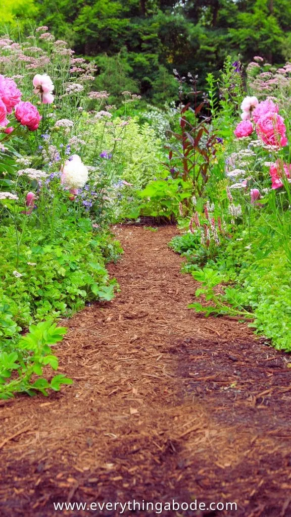 Mediterranean Garden idea for mulching