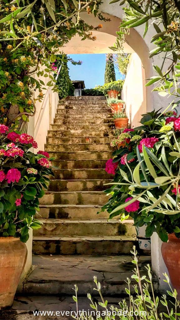 Mediterranean Garden 