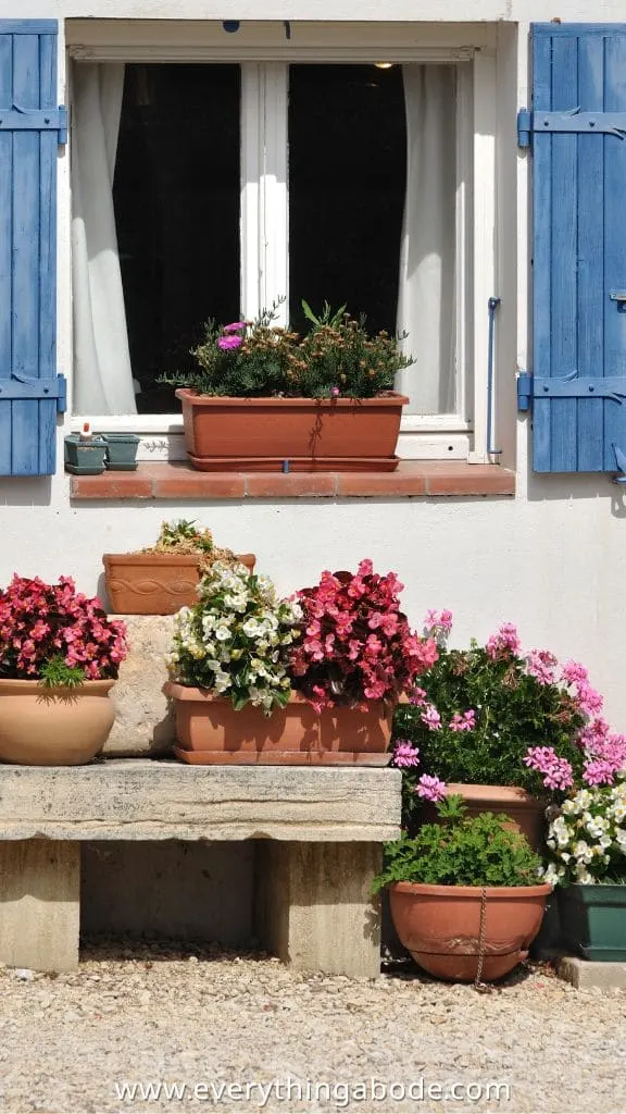 Mediterranean Garden 