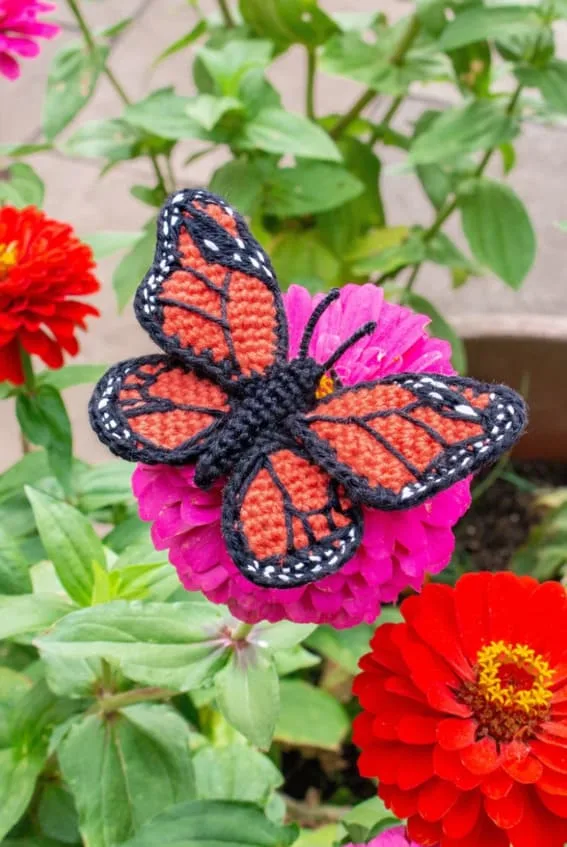 Spring Crochet Idea butterfly