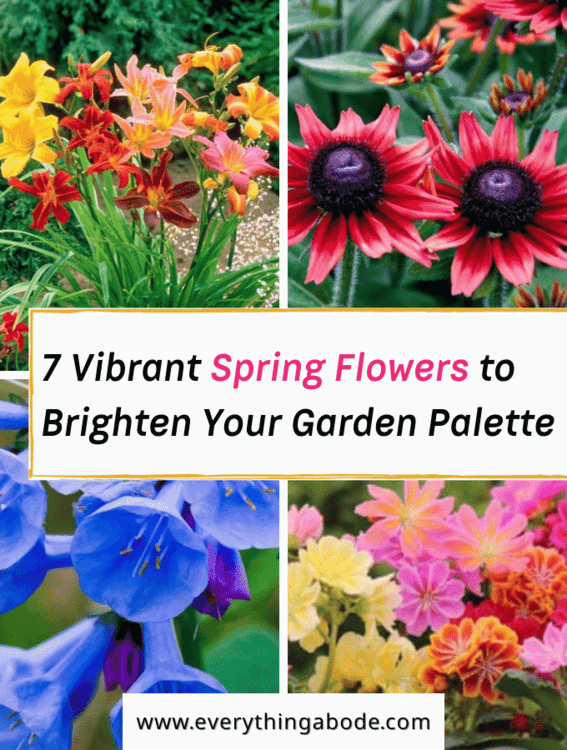 Best Spring Flowers to Plant for Color