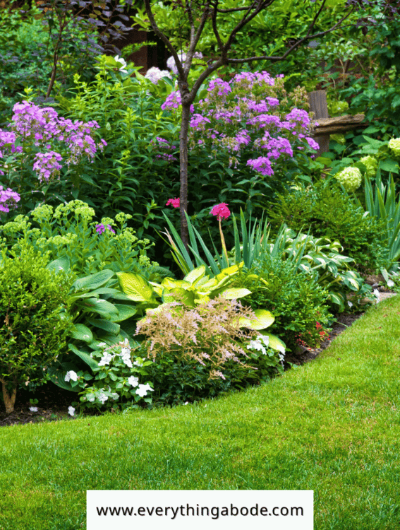 Best Spring Flowers to Plant for Color