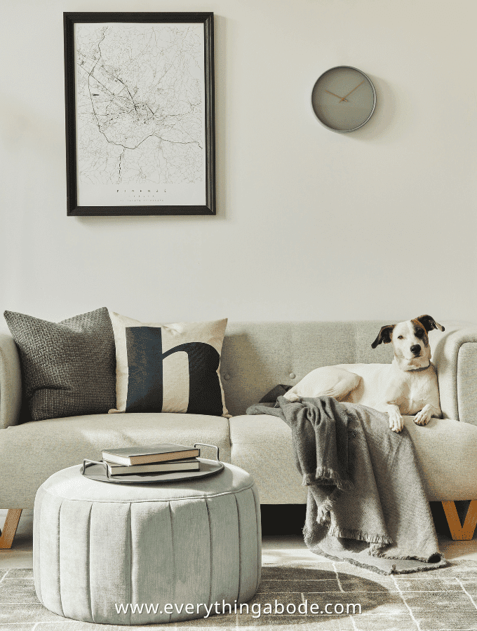 Living Room Trends