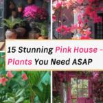 pink houseplants