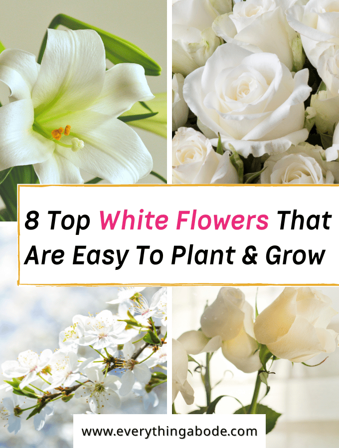 White flowers for gardens